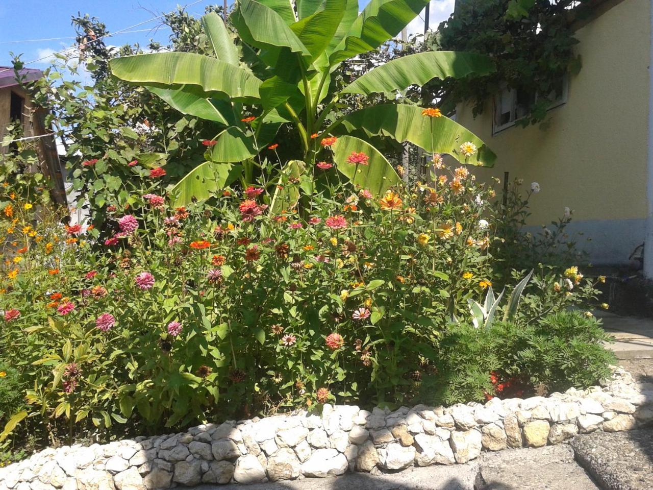 Guesthouse On Kabardinskaya 139A Gagra Exterior foto